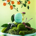 Lataa kuva Galleria-katseluun, Garden Party Hair & Body Mist