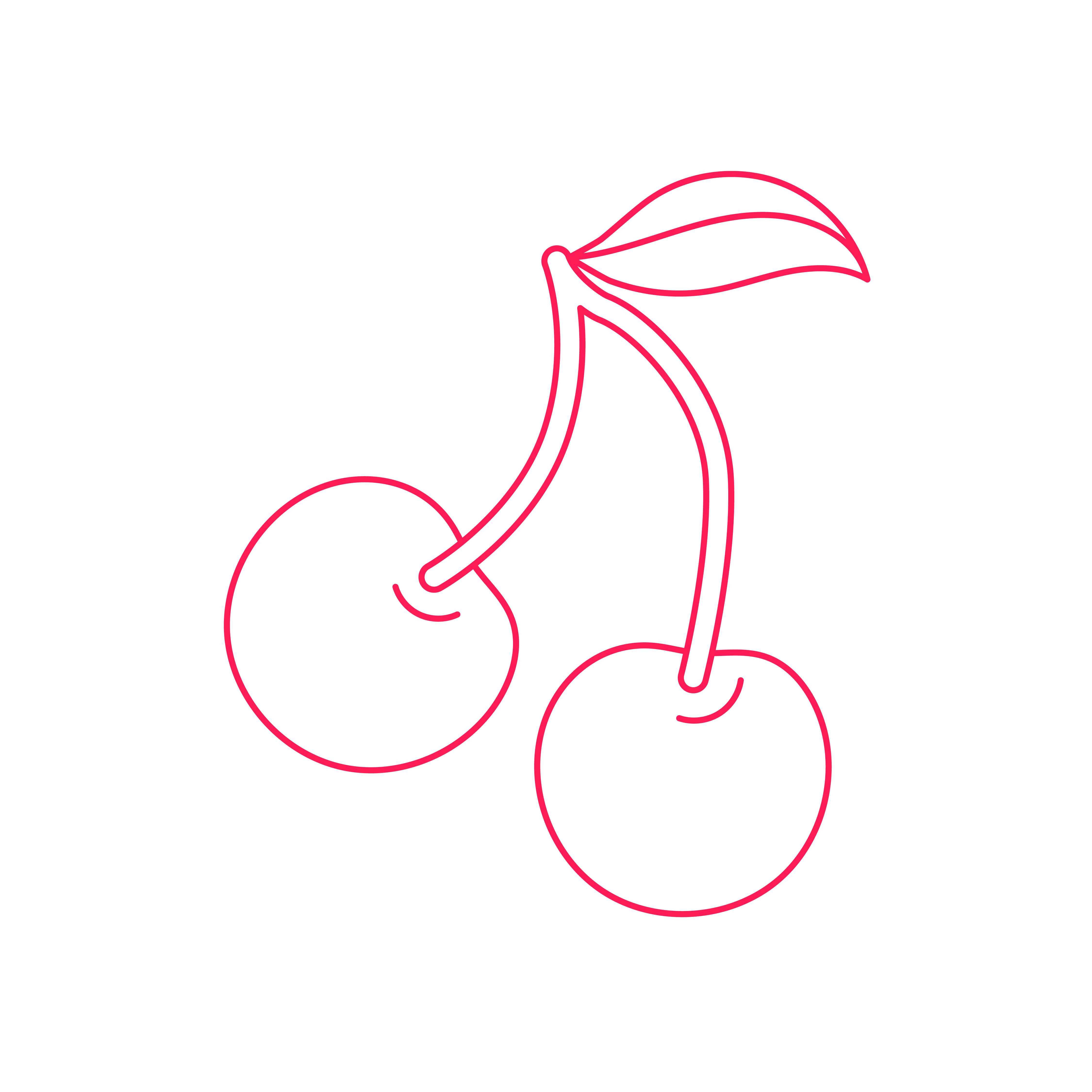 Maraschino-kirsebær