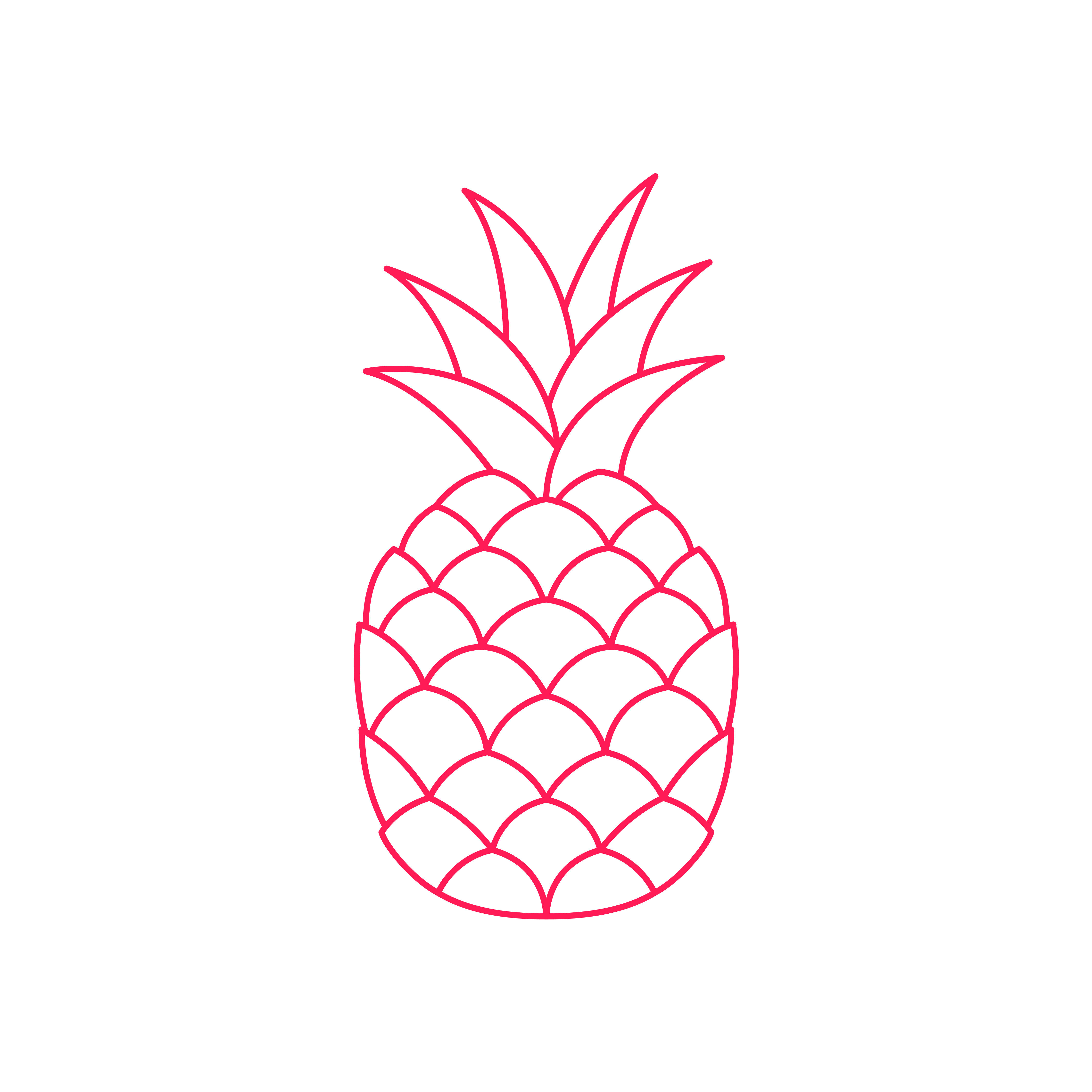 Ananas